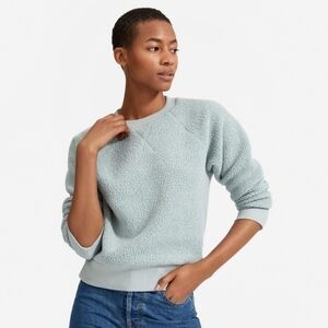 Everlane The ReNew Fleece Raglan Sweatshirt